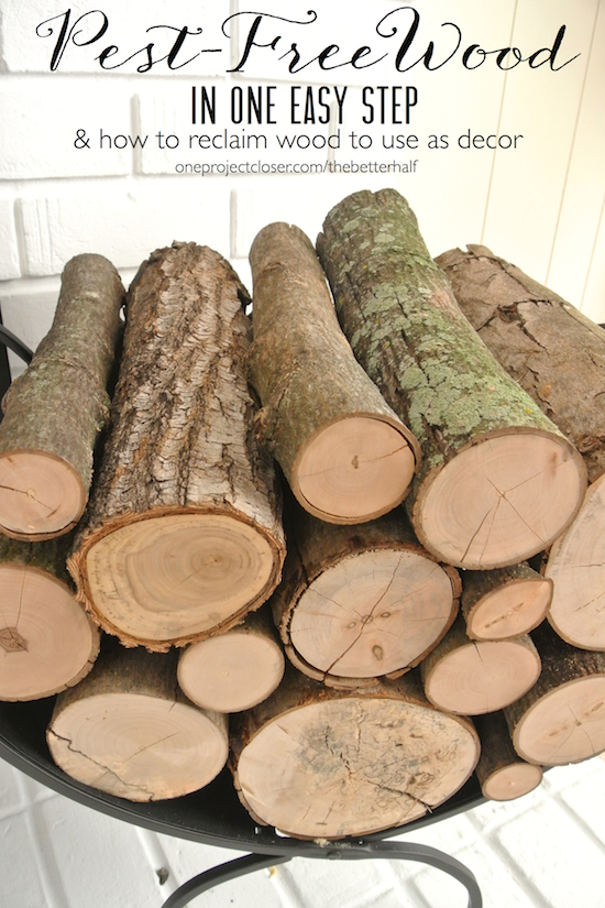 Find High-Grade birch logs For Lumber and Sawing - .